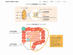 スーパー大麦の驚きの整腸作用
