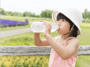 清涼飲料水への課税で糖尿病にストップ！？WHOが呼びかけ
