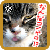 �g�t�̏�ł����Q�ɂ���ł�����́c