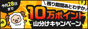 ニフティポイントクラブ山分けキャンペーン ニフティポイントクラブ山分けキャンペーン