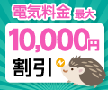 新規お申し込みで最大10,000円割引！