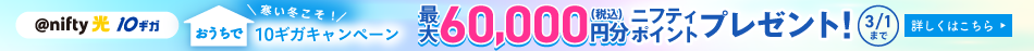 nifty光 10ギガ