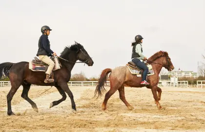 乗馬体験の様子