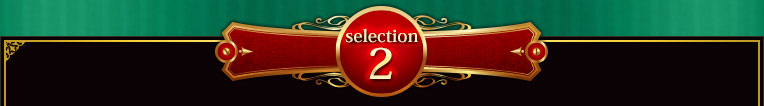 selection2