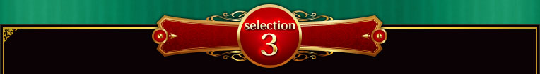 selection3